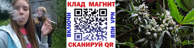 Где купить Электросталь Канабис Альфа ПВП ГАШ COCAIN