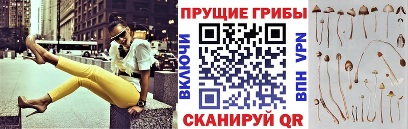 где купить наркоту  Электросталь  Галлюциногенные грибы мухоморы 